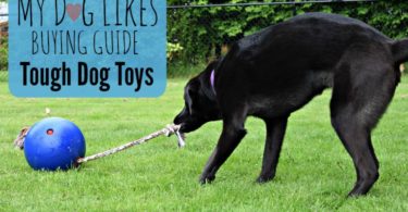 MyDogLikes dives into the toughest dog toys on the market.