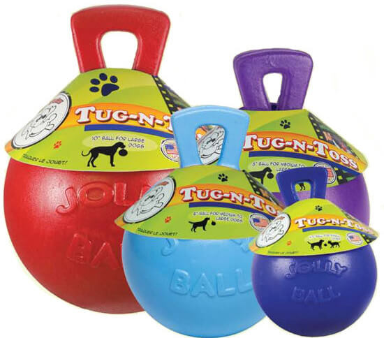 MyDogLikes reviews the Jolly Ball in our search for the toughest dog toy!