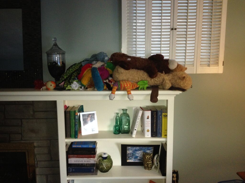 Looks like our young pup is still in his toy destruction phase. Check out our toy graveyard on the mantle!