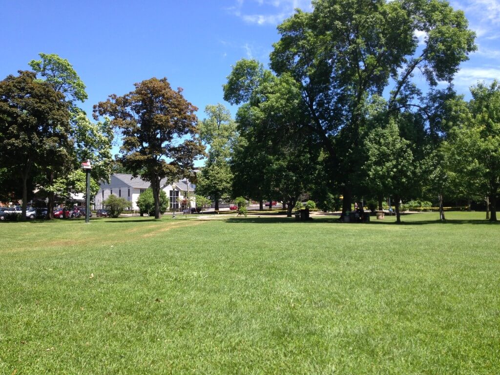 Gorgeous trees and lots of open space