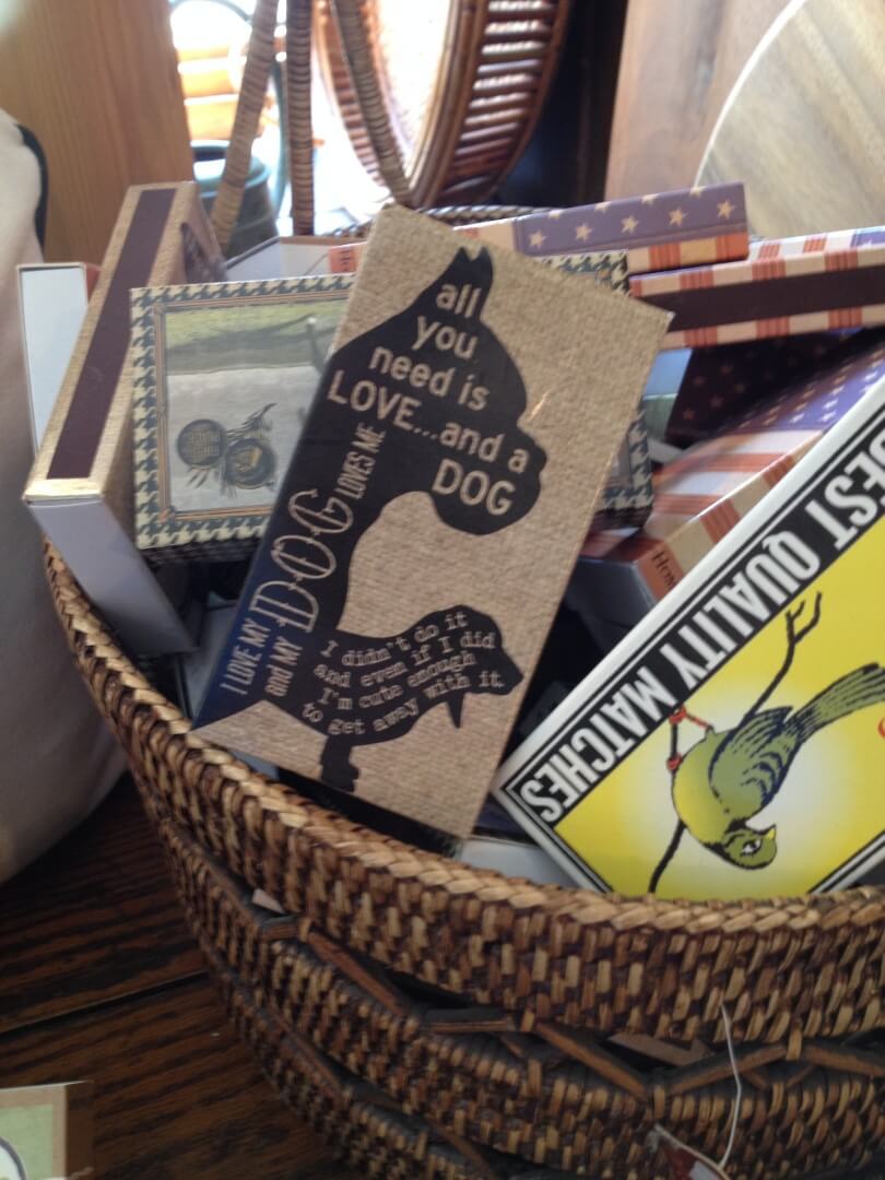 A Weekend Visit to Dog Friendly Saratoga Springs, NY