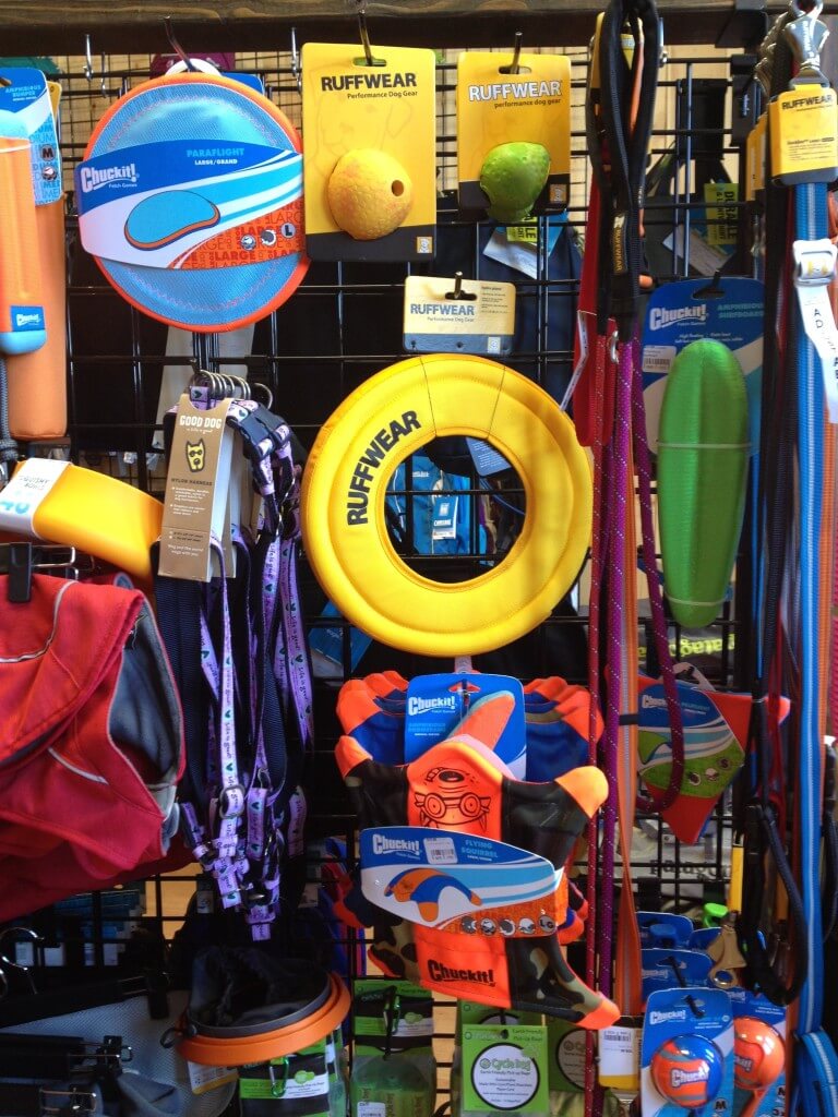 Chuckit! and Ruffwear - what else could a dog need?!