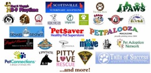 Dog Days Event Sponsor Collage