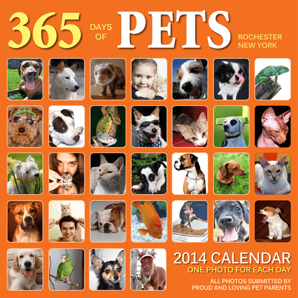 365 Days of Pets Calendar