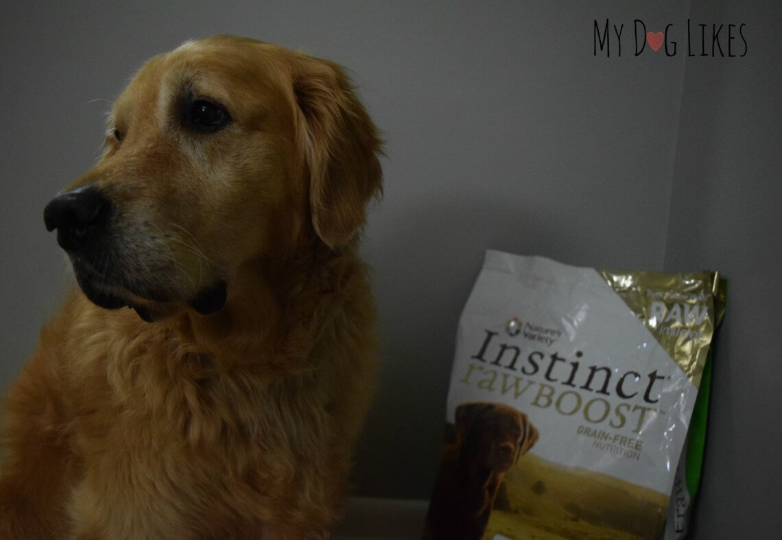 Instinct Raw Boost Review This is No Ordinary Dog Kibble!