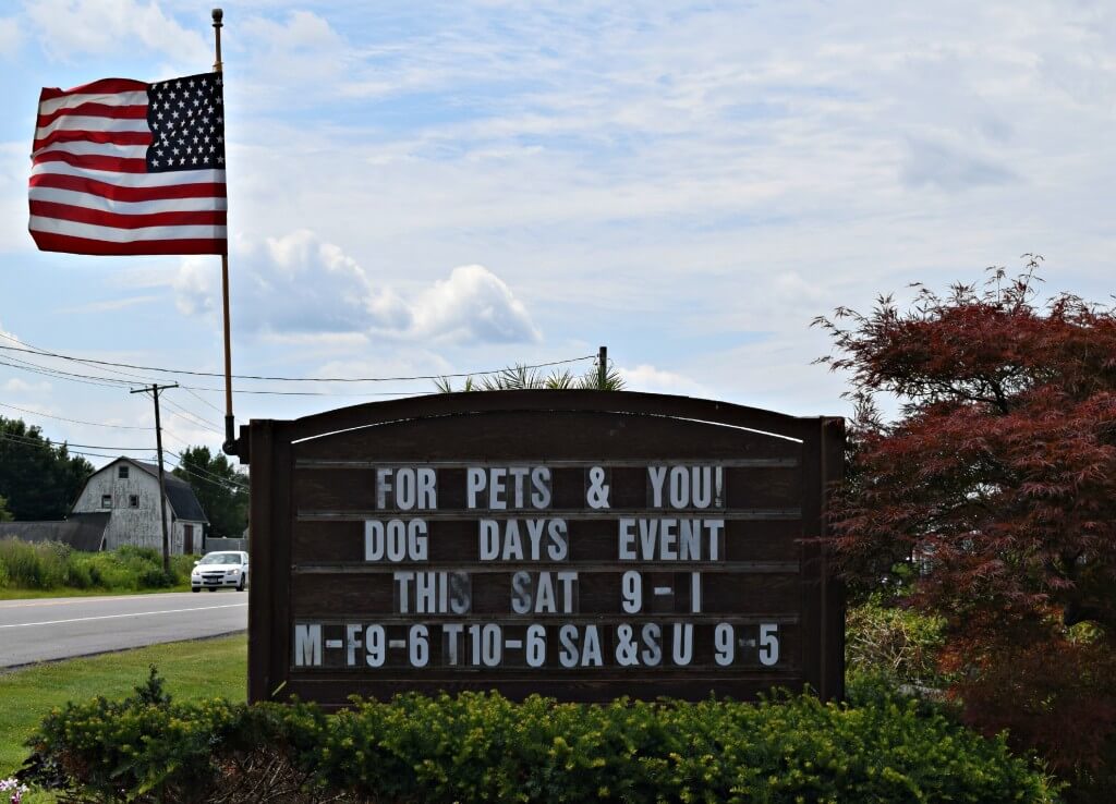 Pulling into Grossmans Garden Center for their Dog Days of Summer Event