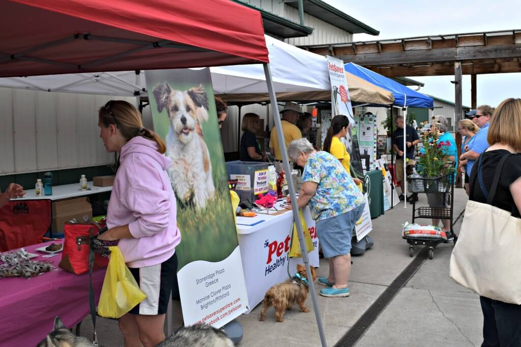 Walking down the aisles of vendor booths at Grossmans Dog Days event.