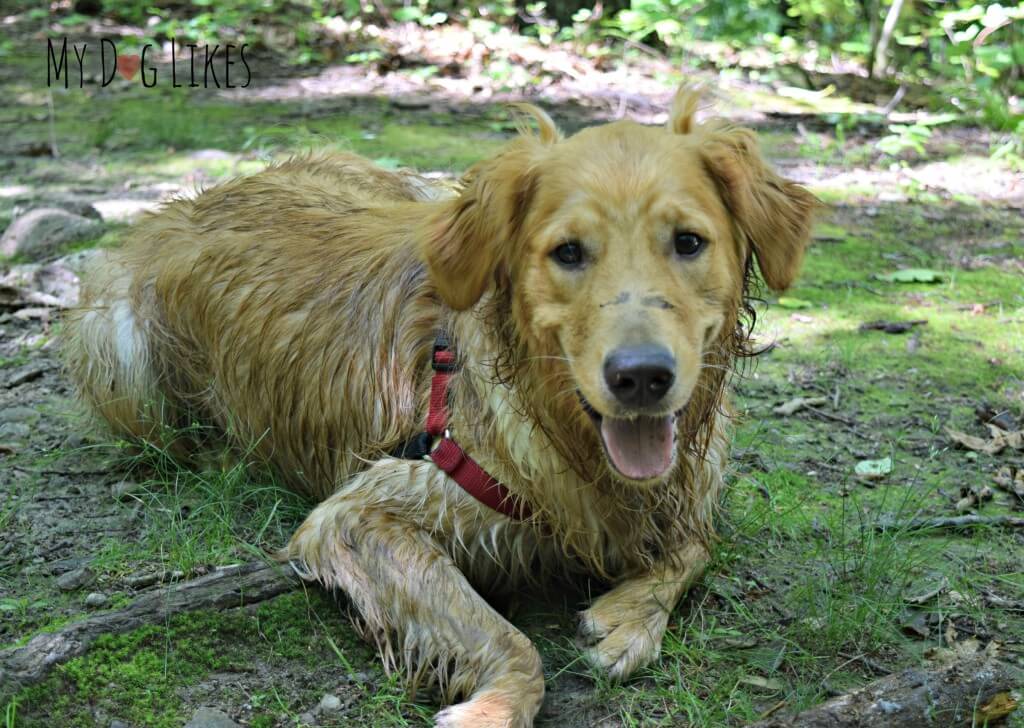 Hiking the Devil's Bathtub Trail in Mendon Ponds Park