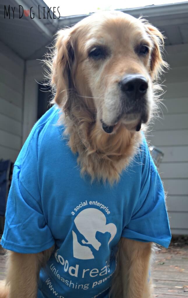 Our dog Harley modeling a new t-shirt!