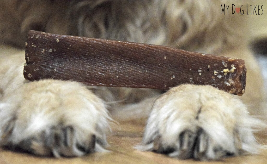 Closeup of a new Himalayan Dog Chew