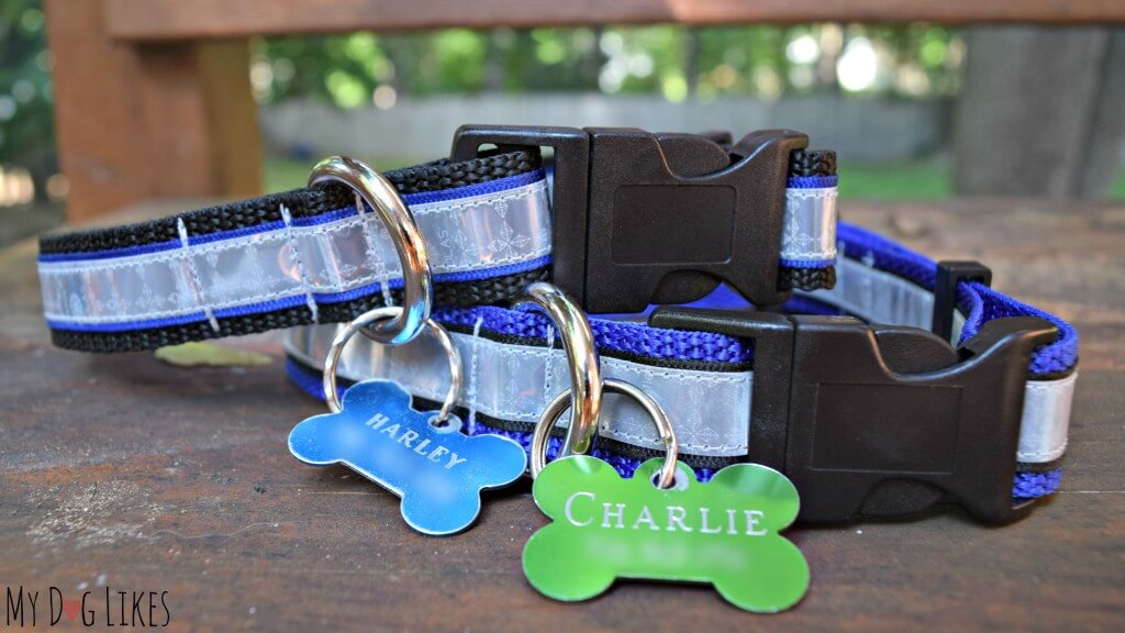 Identification tags are a necessity for any dog and could save their life in an emergency!