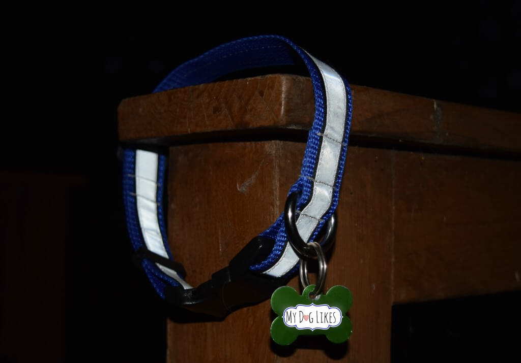 The SOLAS reflective tape of the Illumidog Reflective Dog Collar really shines in the dark