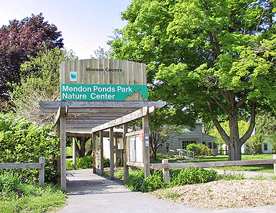 Mendon Ponds Nature Center Summer