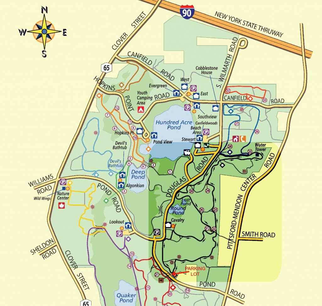 The East Esker Trail at Mendon Ponds Park near Rochester, NY