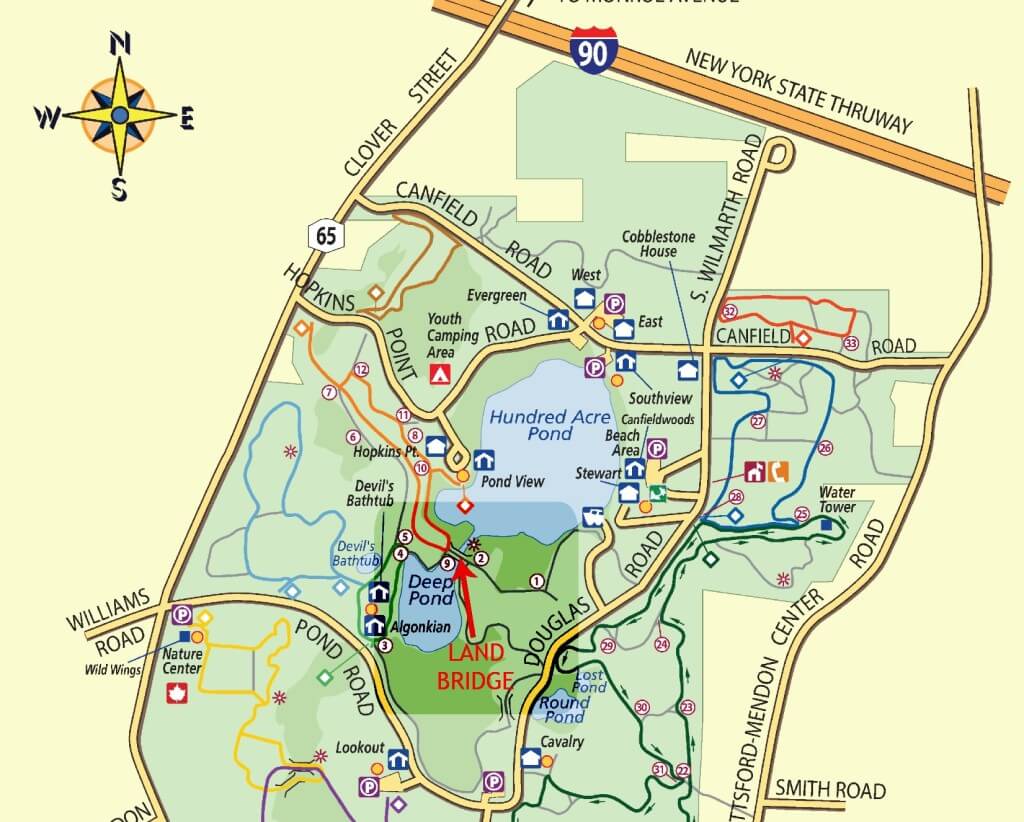 Land bridge separating hundred acre pond and deep pond at Mendon Ponds Park near Rochester, NY