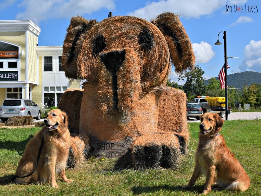 Harley and Charley posing with a giant Golden Retriever statue in Killington, Vermont