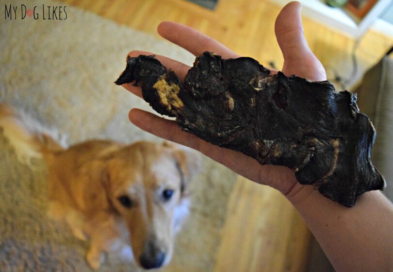 Best Bully Sticks Kangaroo Jerky Review