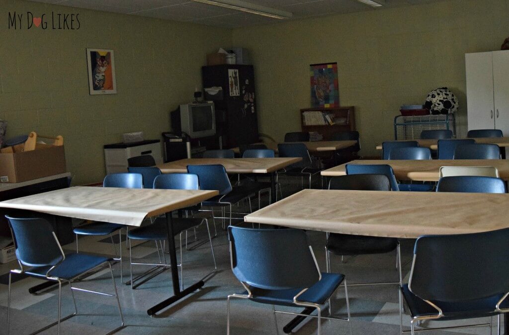 A classroom for one of the educational programs at Lollypop Farm