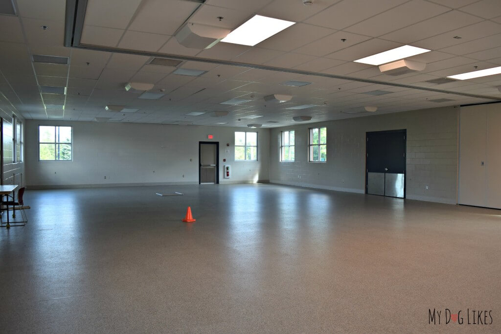 The training room at Lollypop Farm in Rochester, NY