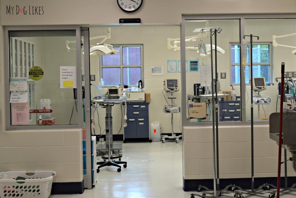 The Veterinary Clinic at Lollypop Farm in Rochester, NY