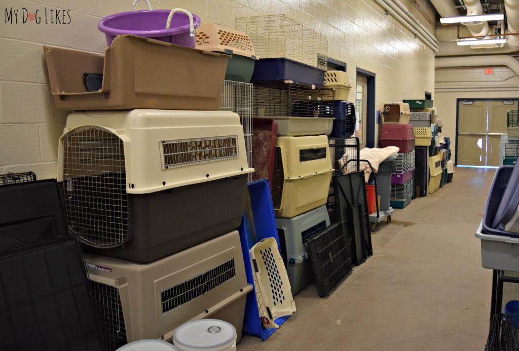 Crates waiting to be cleaned at Lollypop Farm