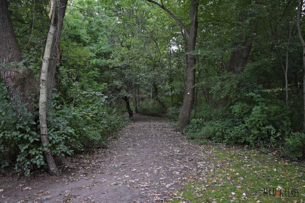 The Stone Dust Loop Trail as seen from the Penfield Road entrance to Corbett's Glen