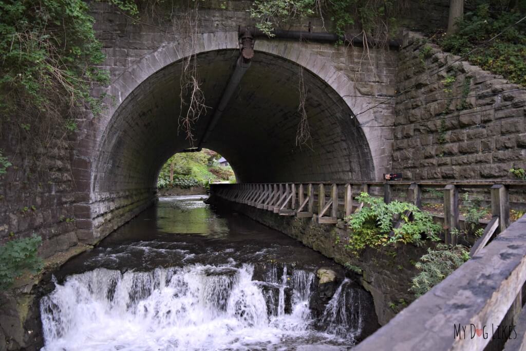 Looking through the beautiful Stone Arch at Corbett's Glen