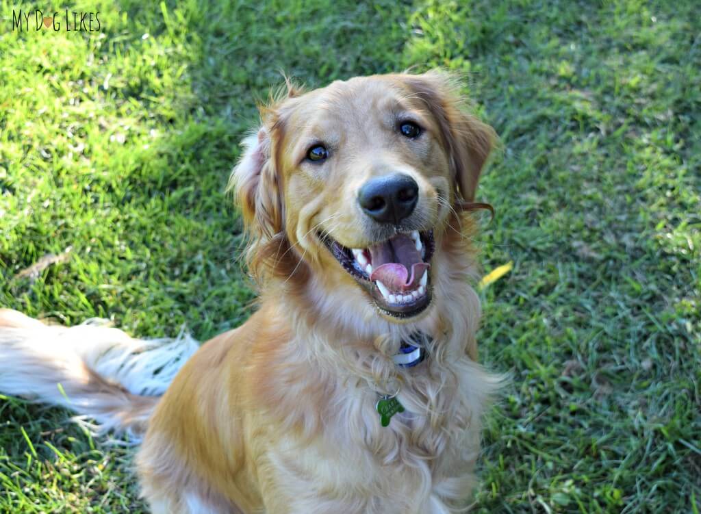 Charlie is thrilled for the start of Summer!