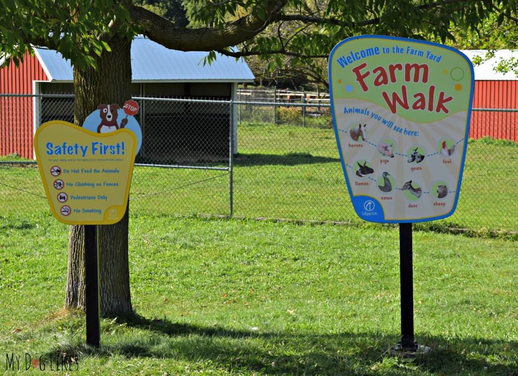 Lollypop Farm's Farm Walk Trail