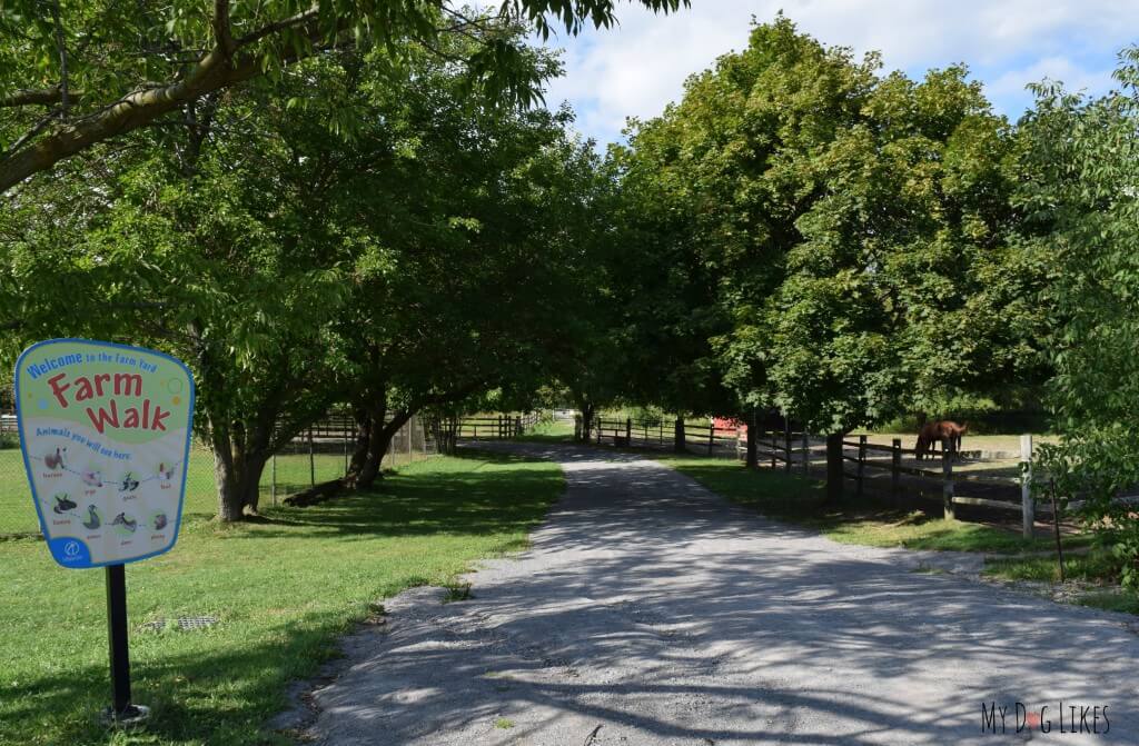 The entrance to the Farm Walk at Lollypop Farm