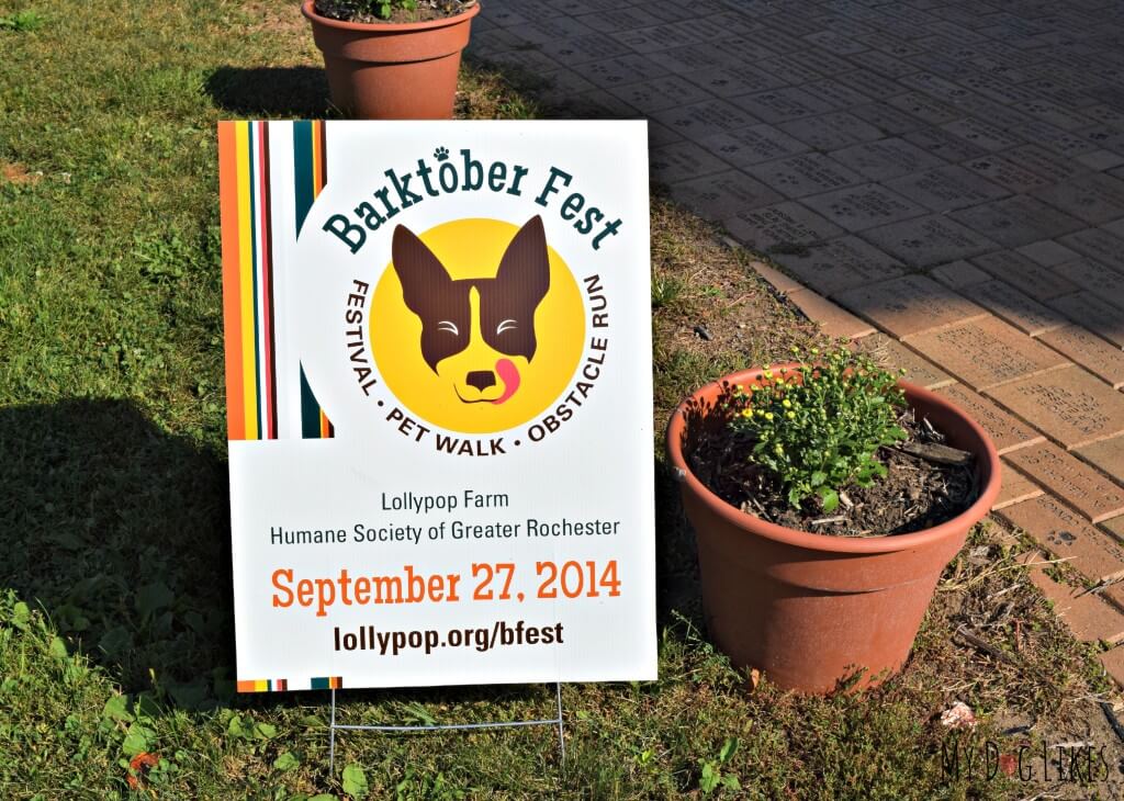 Lollypop Farm's Barktober Fest will be held on September 27, 2014