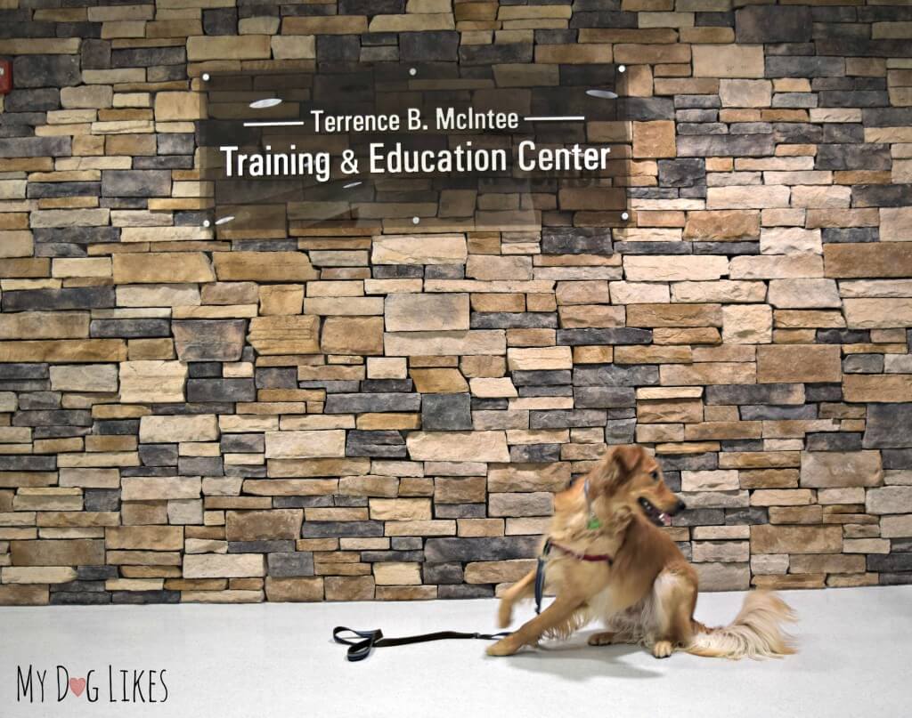 Charlie playing outside the Terrence B. McIntee Lollypop Training and Education Center