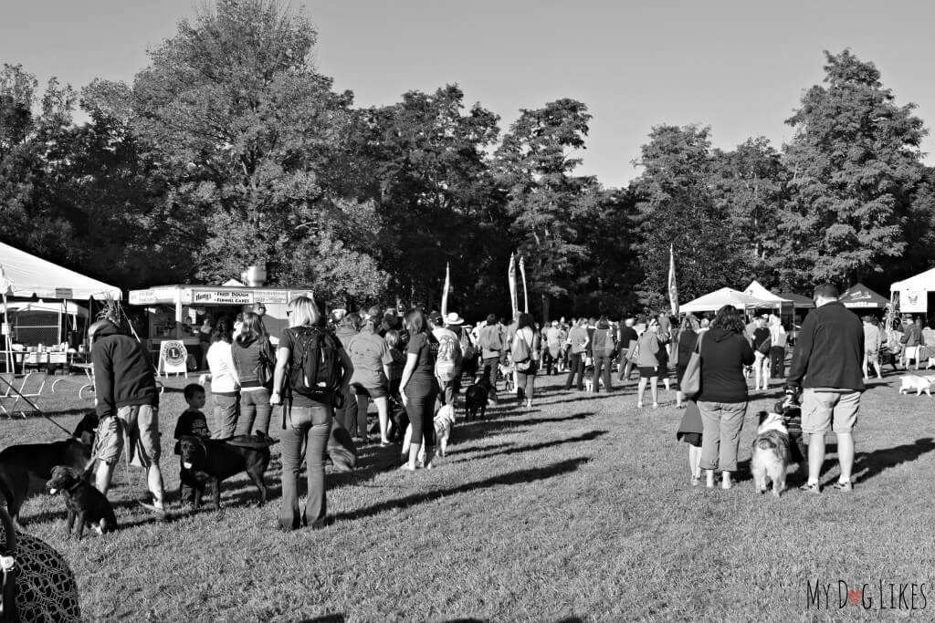 The start of the Lollypop Farm Pet Walk at the 2014 Barktober Fest