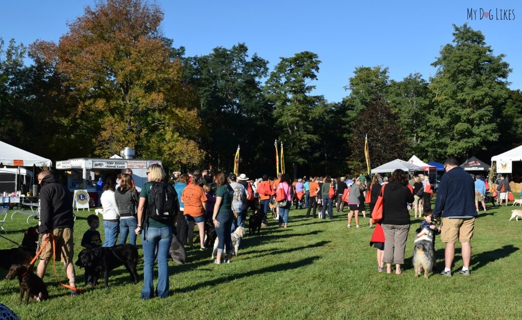 Starting out on Lollypop Farm's Barktoberfest Pet Walk