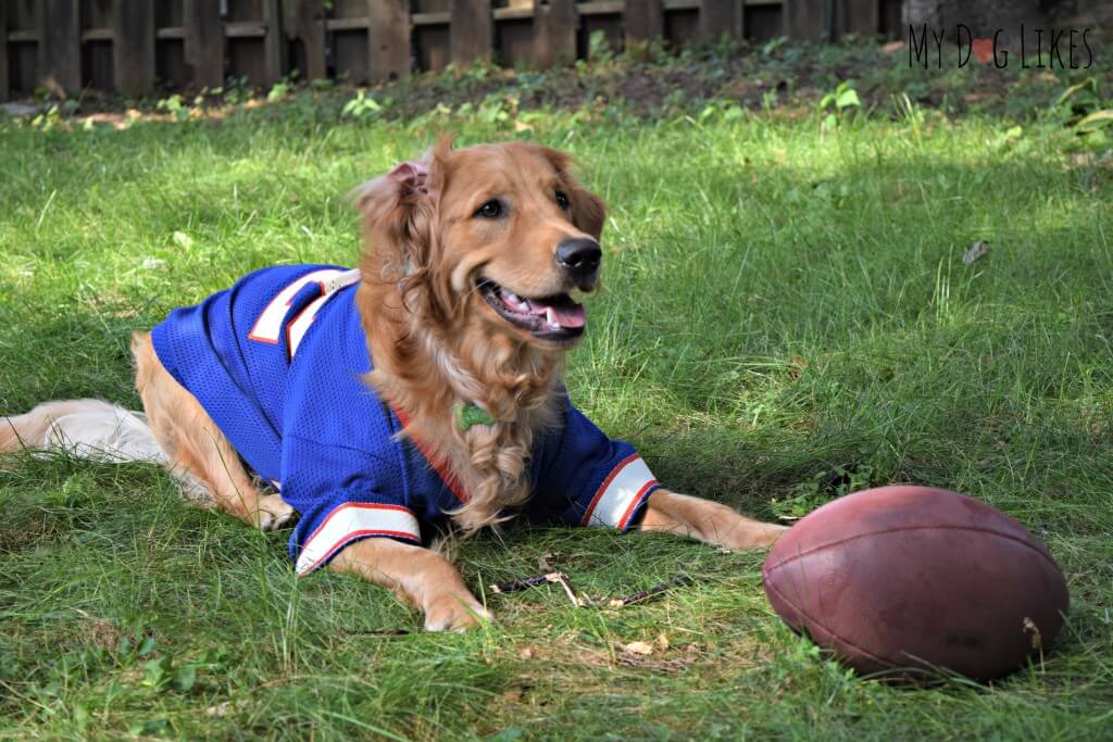 Charlie is ready for some football!