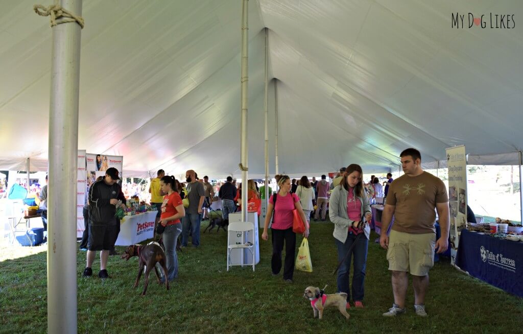 Some of the vendors at Lollypop Farm's Barktober Fest event