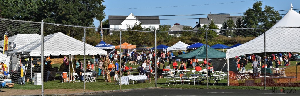 A panoramic view of Lollypop Farm's Barktober Fest 2014