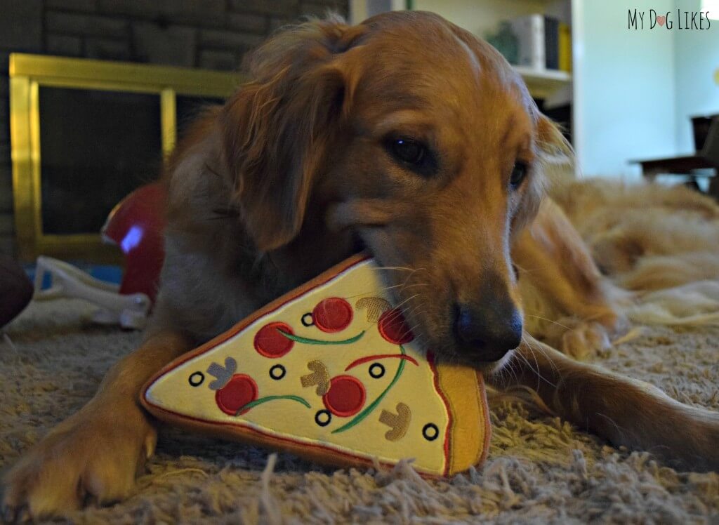 Charlie mouthing on his new PrideBites Pizza dog toy