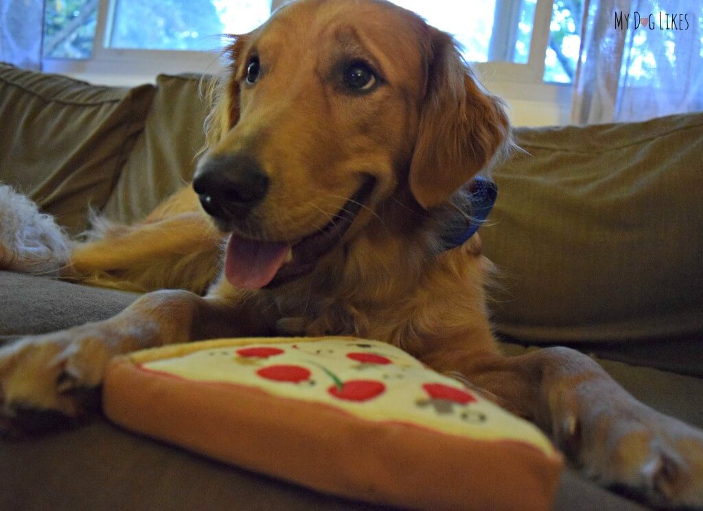 Charlie can't believe he has his very own PrideBites Pizza!