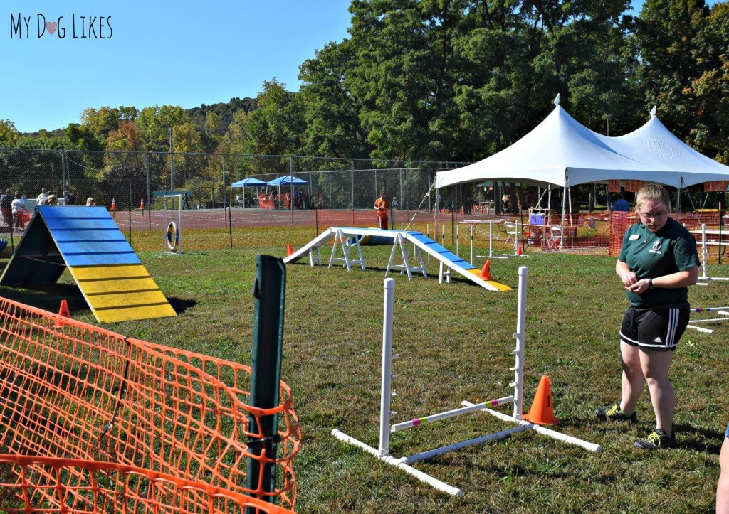 The Dog Agility Course at Lollypop Farm's Barktober Fest