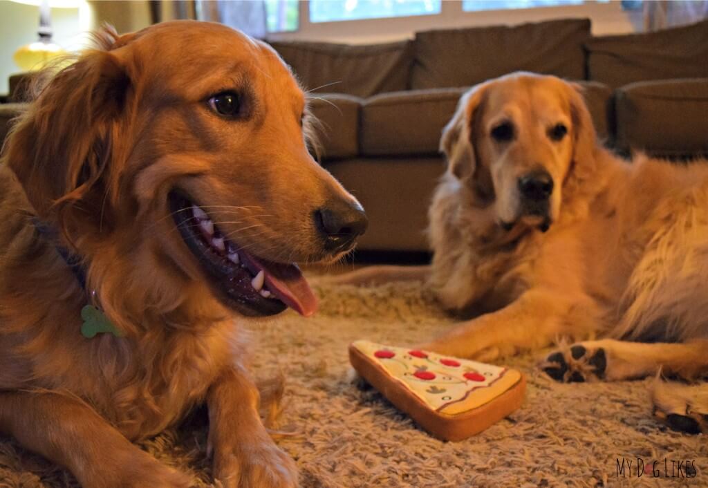 Our Golden Retrievers Harley and Charlie posing with their new PrideBite Pizza dog toy!