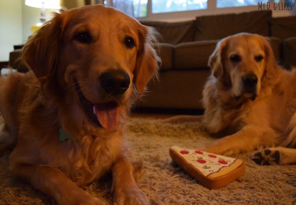 Harley and Charlie wondering who gets the last piece!