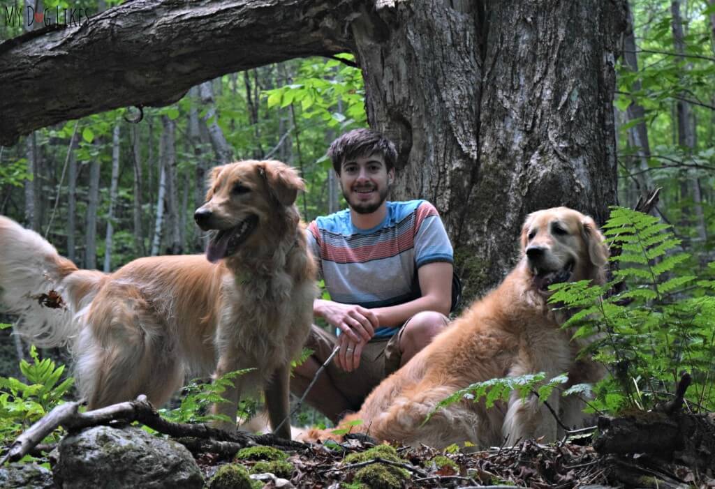 Enjoying a hike with the dogs on our trip to Vermont