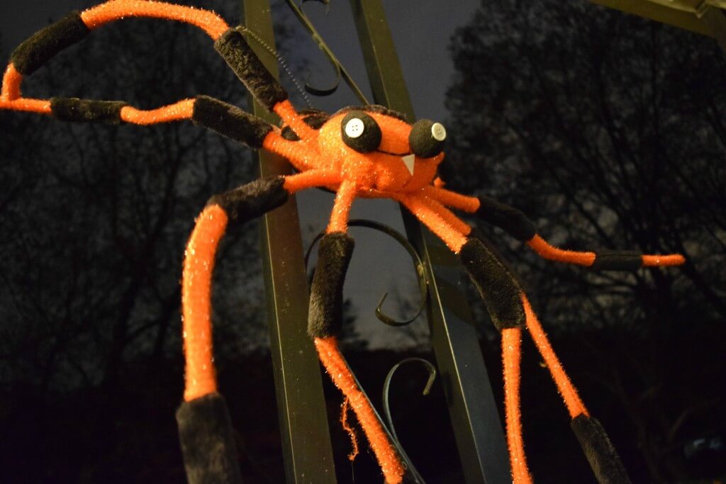 Our creepy Halloween spider decoration on the front porch