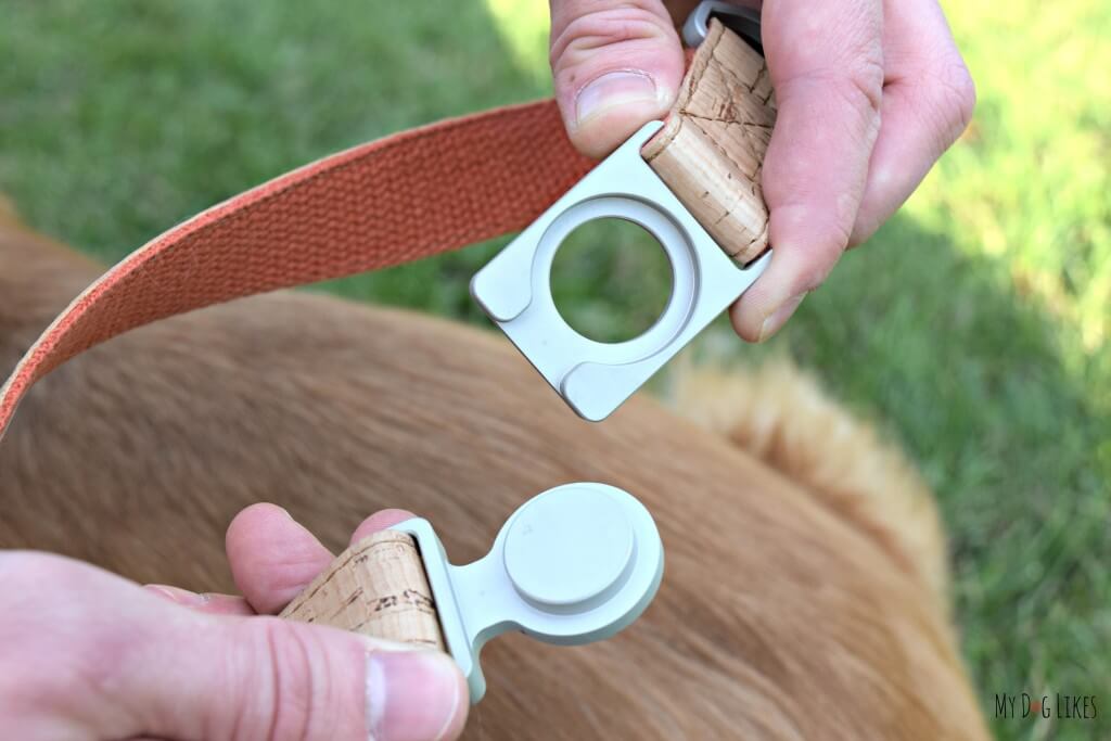Displaying the innovative buckle design on Mema Pets ALU dog Collar