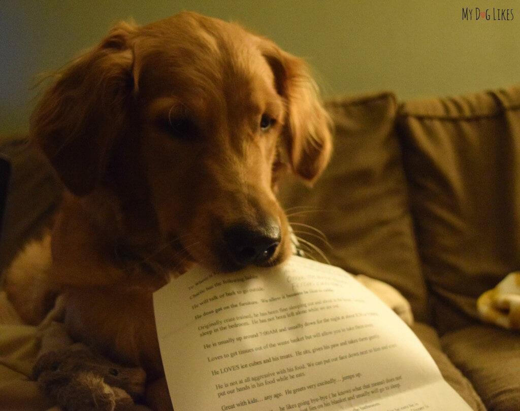 Charlie holding his "instructions for use" letter from his adoption paperwork