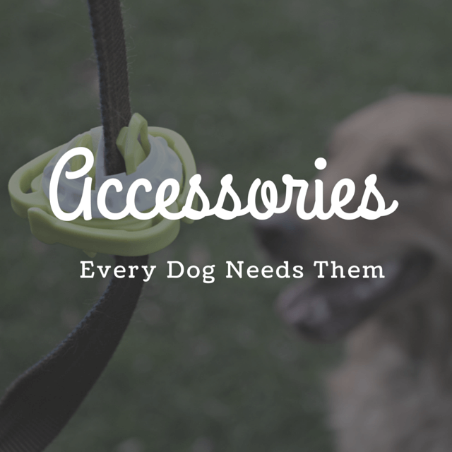 MyDogLikes 2014 Holiday Gift Guide - Accessories - Every dog needs them