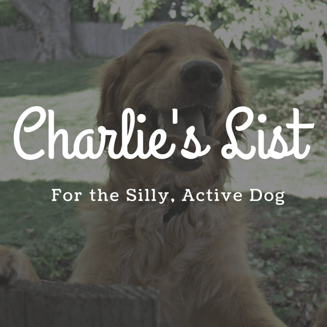 MyDogLikes 2014 Holiday Gift Guide - Charlie's List - For the silly, active dog