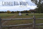 MyDogLikes continues its spotlight on dog friendly parks with this feature on Gosnell Big Woods in Webster, NY