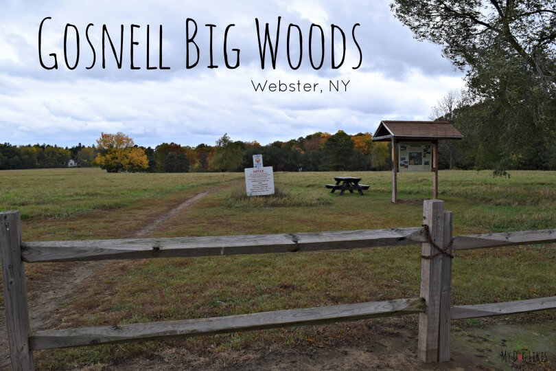 MyDogLikes continues its spotlight on dog friendly parks with this feature on Gosnell Big Woods in Webster, NY